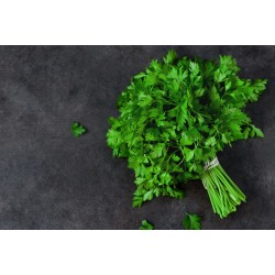 PARSLEY